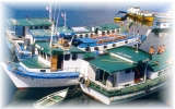 Puerto Montt Chile boat cruises