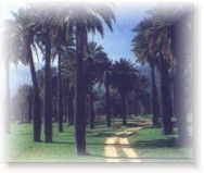 NATIONAL PARK IN CHILE