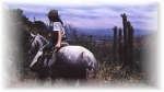 chile horseback photo